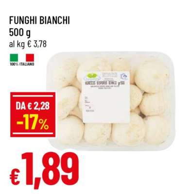 FUNGHI BIANCHI