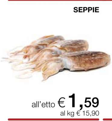 Seppie