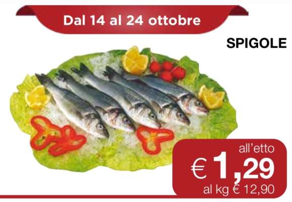 Spigole