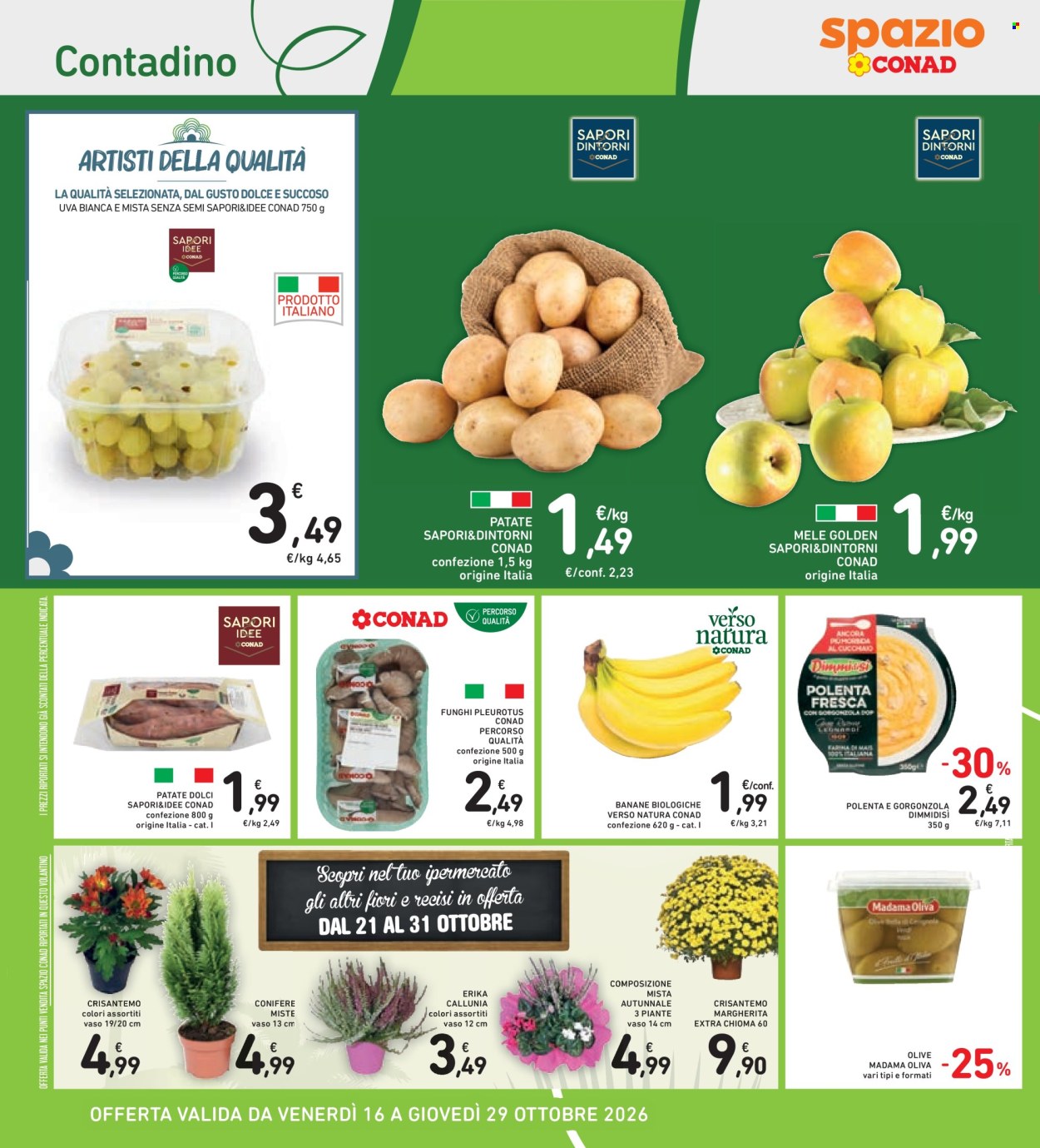 Leták Spazio Conad - 16.10.2026 - 29.10.2026. Strana 24