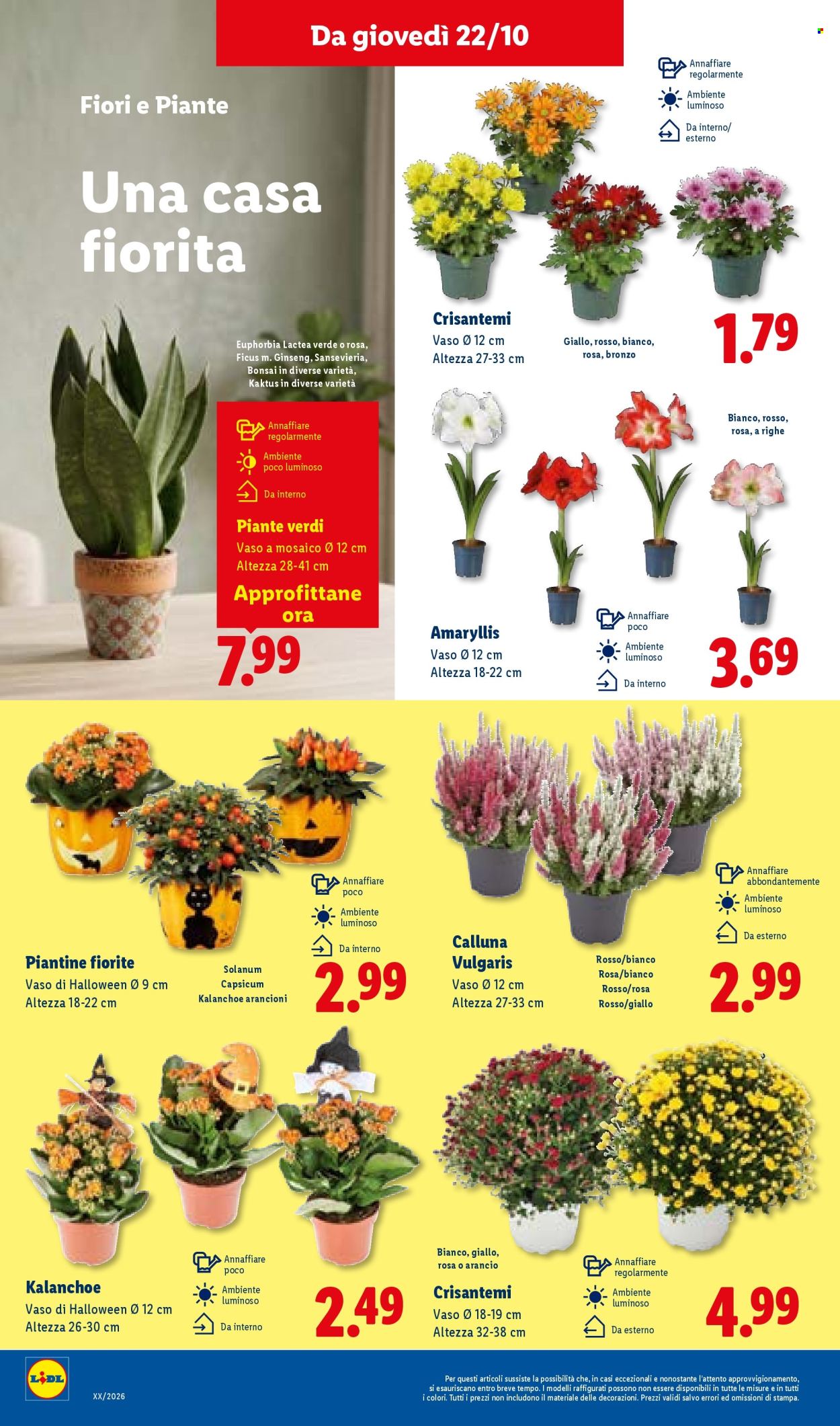 Volantino Lidl - 22/10/2026 - 28/10/2026. Pagina 34