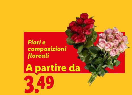 Fiori e composizioni floreali