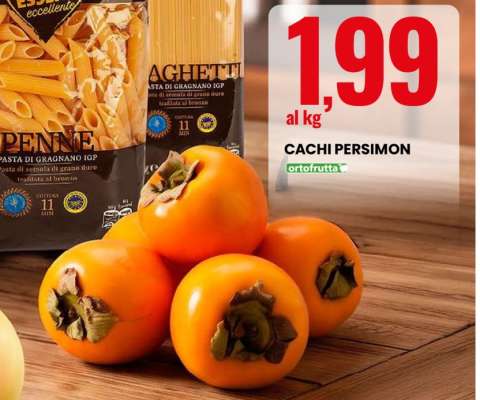 Cachi Persimon