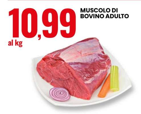 MUSCOLO DI BOVINO ADULTO