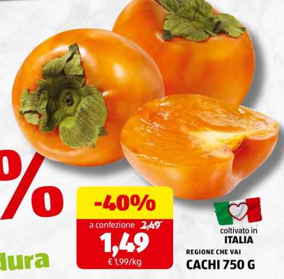 CACHI 750 G