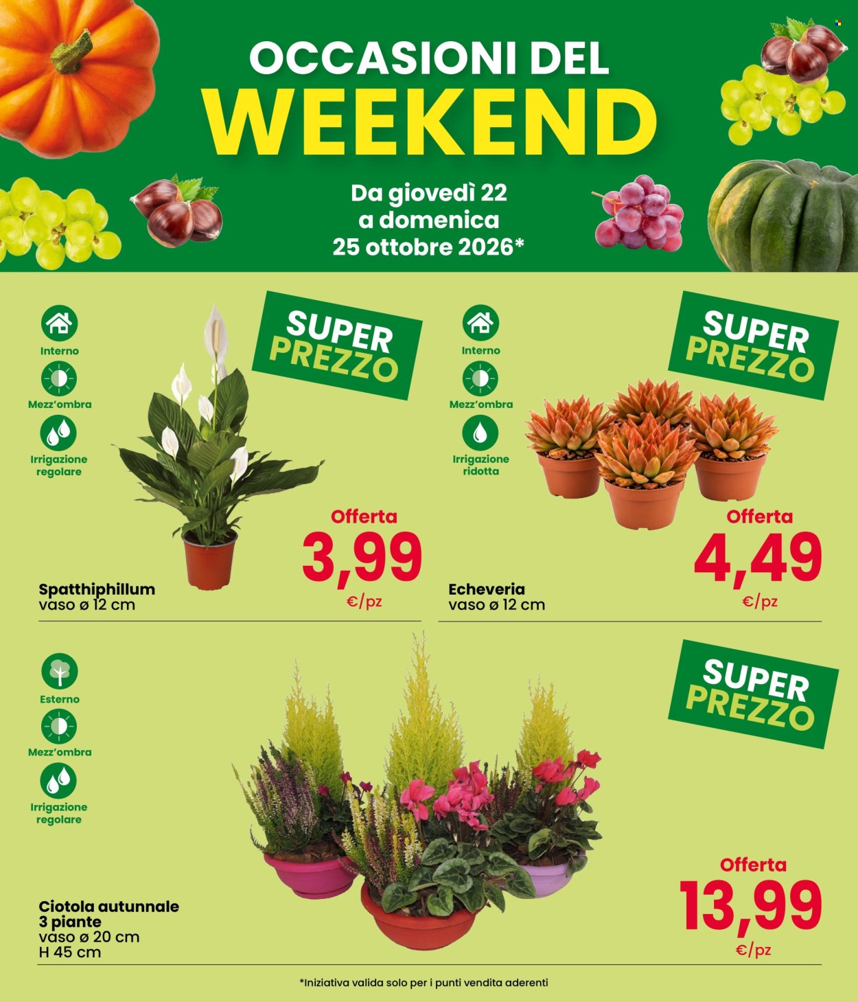 Volantino Interspar - 22/10/2026 - 25/10/2026. Pagina 3