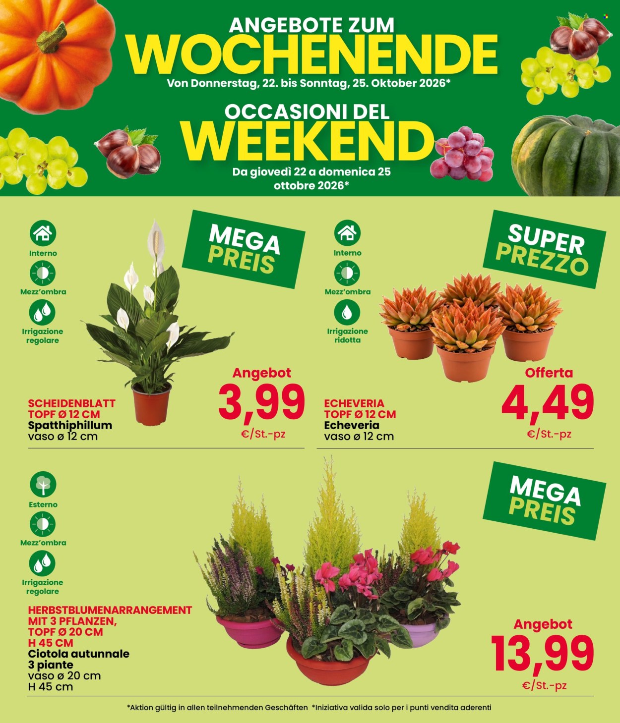 Volantino Eurospar - 22/10/2026 - 25/10/2026. Pagina 3