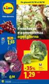 leaflet