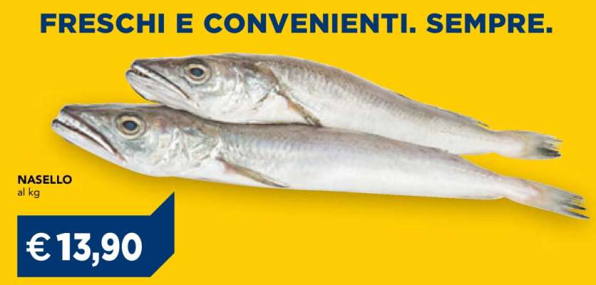 Nasello