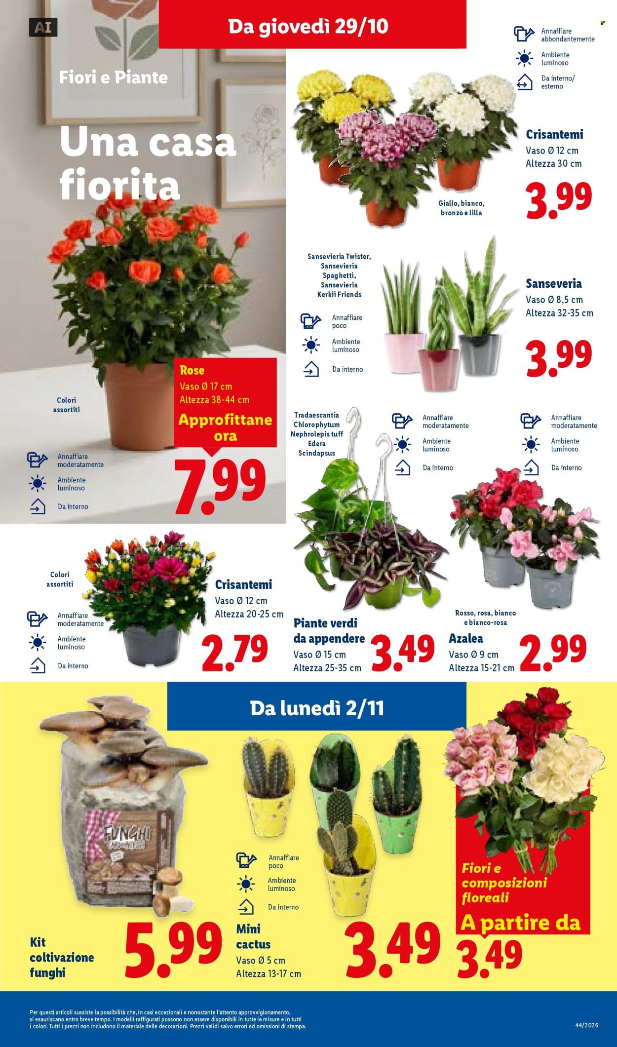 Volantino Lidl - 29/10/2026 - 4/11/2026. Pagina 39