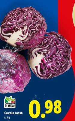 Cavolo rosso