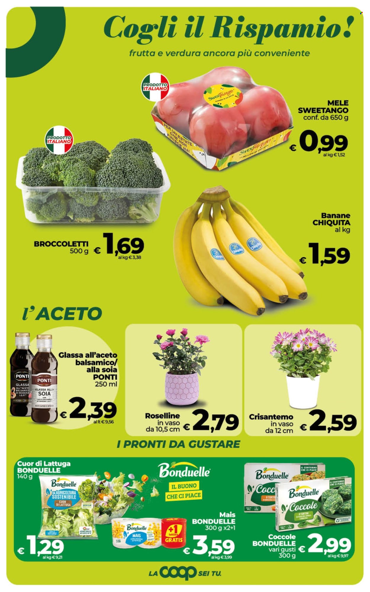 Volantino Coop - 23/10/2026 - 2/11/2026. Pagina 13