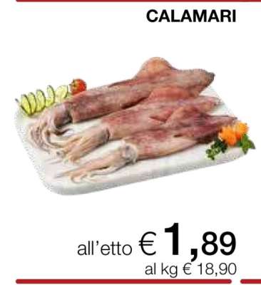 CALAMARI