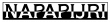 logo - Napapijri
