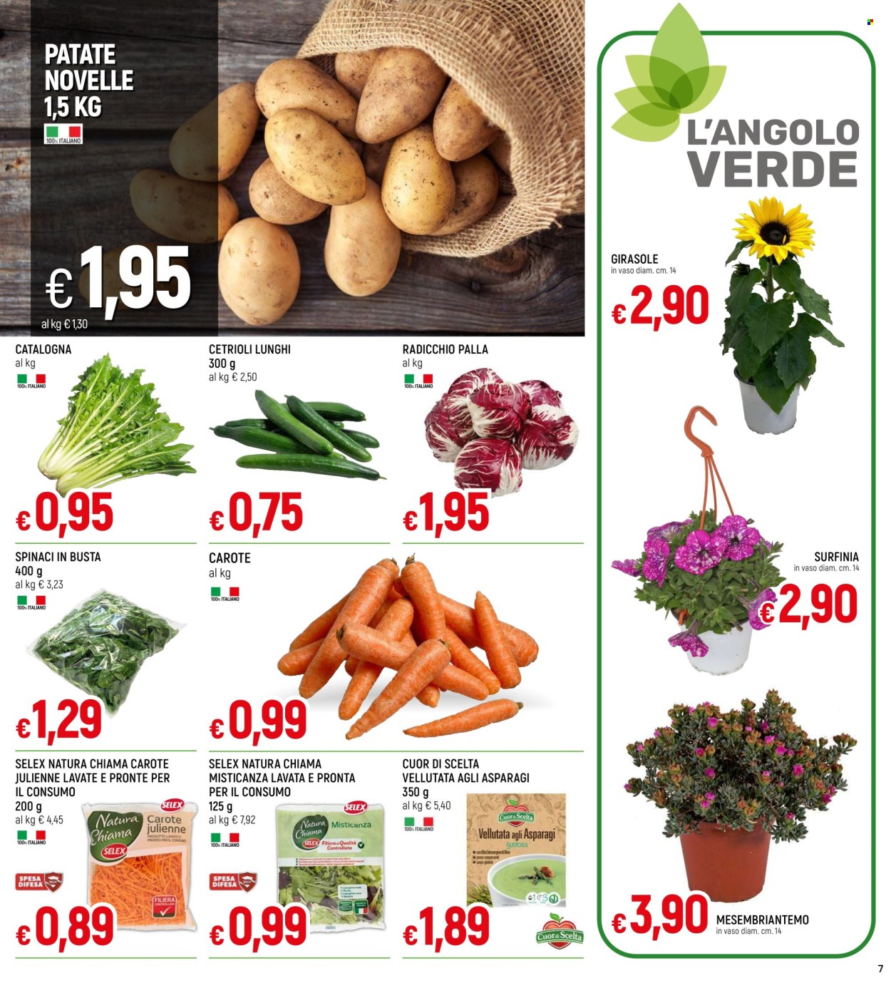 thumbnail - Volantino Galassia - 18/4/2024 - 1/5/2024 - Prodotti in offerta - carote, cetrioli, radicchio, spinaci, patate novelle, vellutata, busta. Pagina 7.