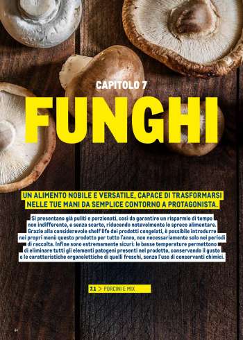 thumbnail - Funghi porcini