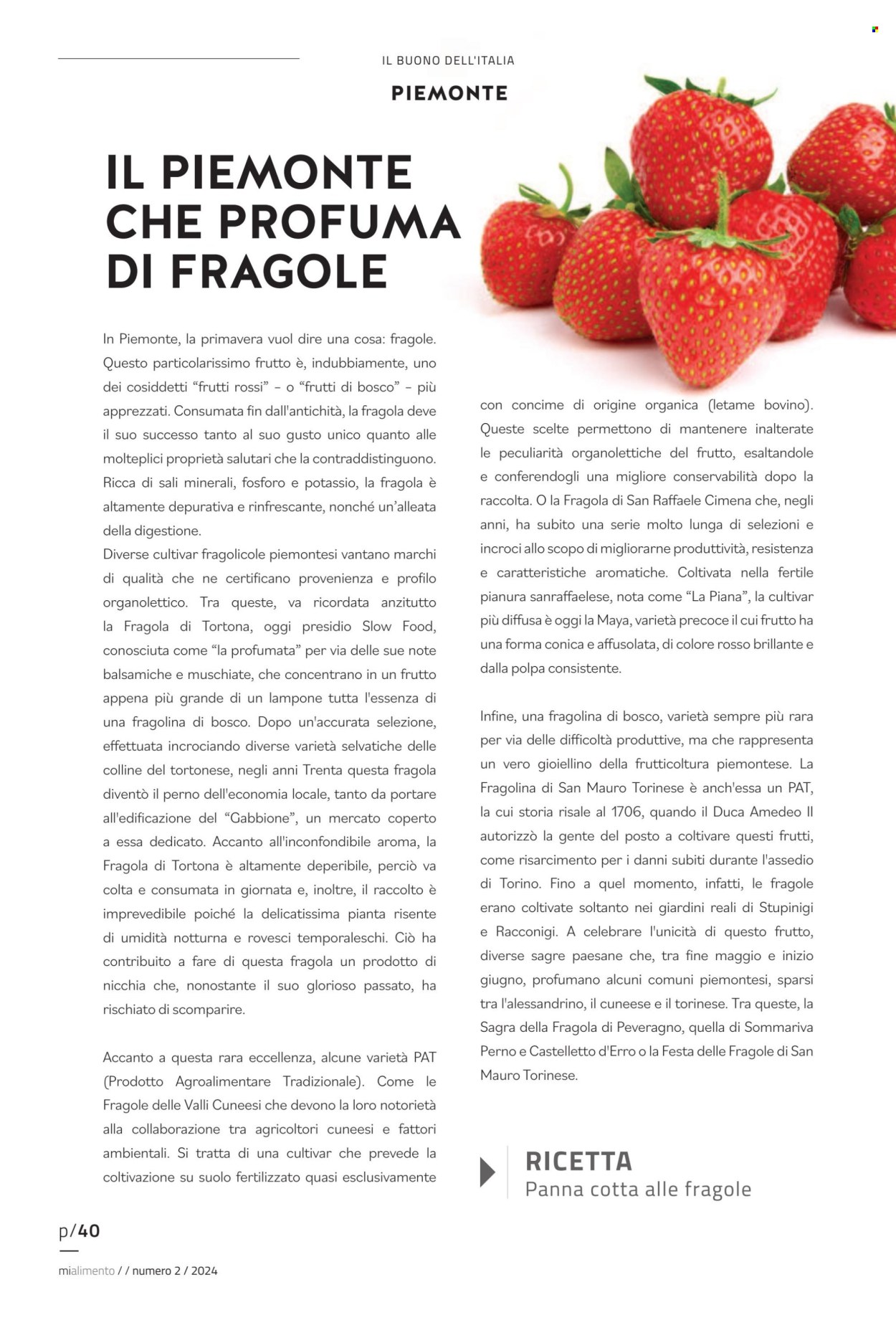 Volantino COAL. Pagina 1