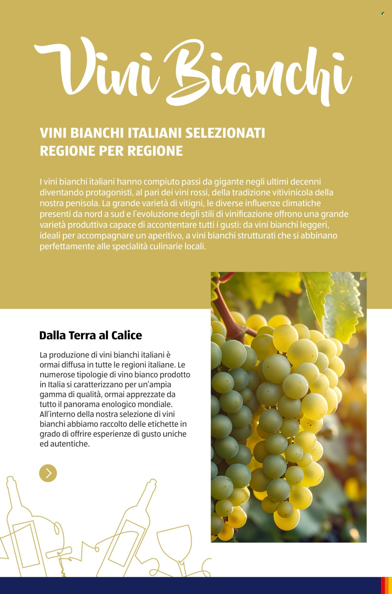 Volantino Aldi. Pagina 1