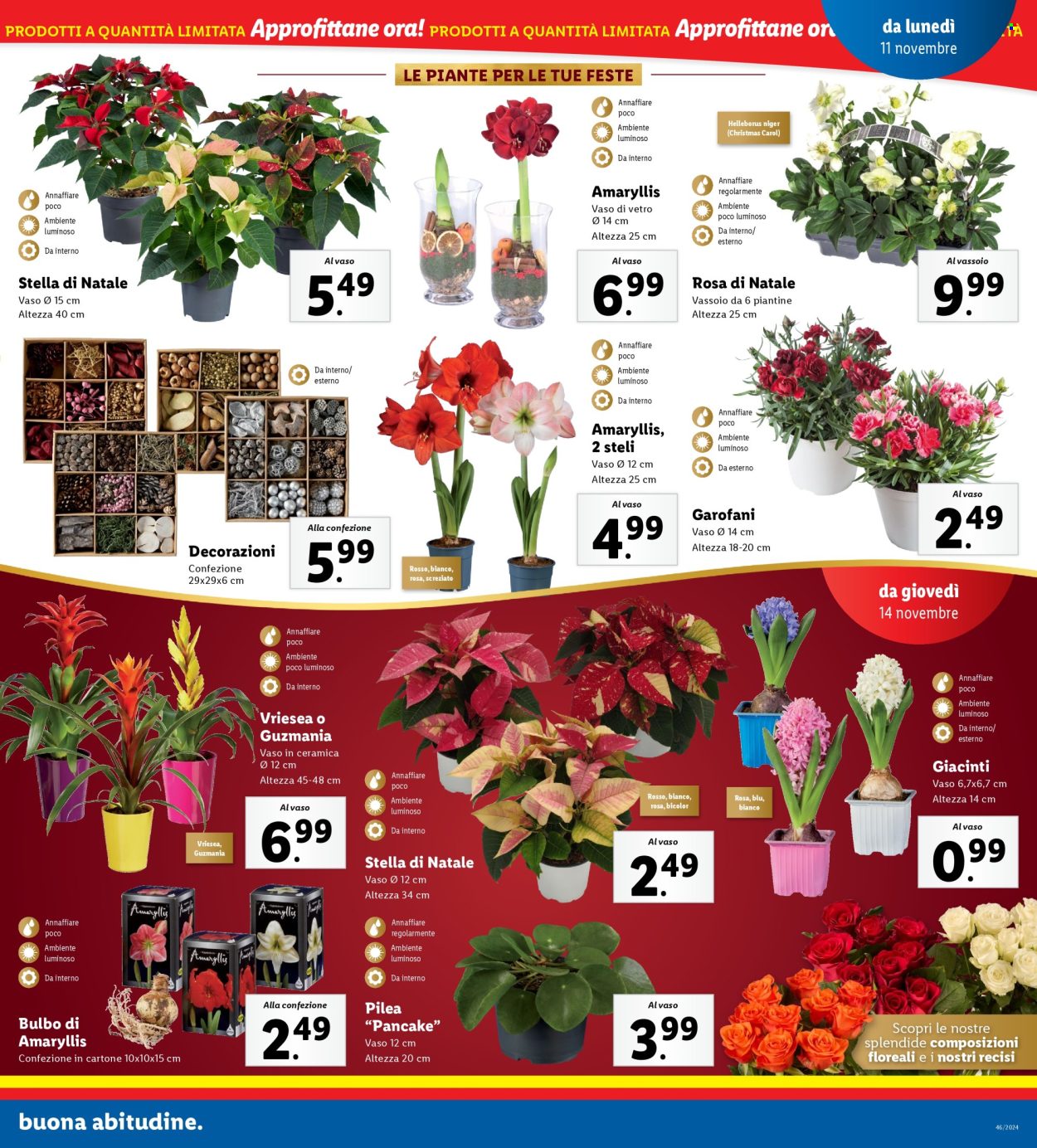 Volantino Lidl - 11/11/2024 - 17/11/2024. Pagina 31