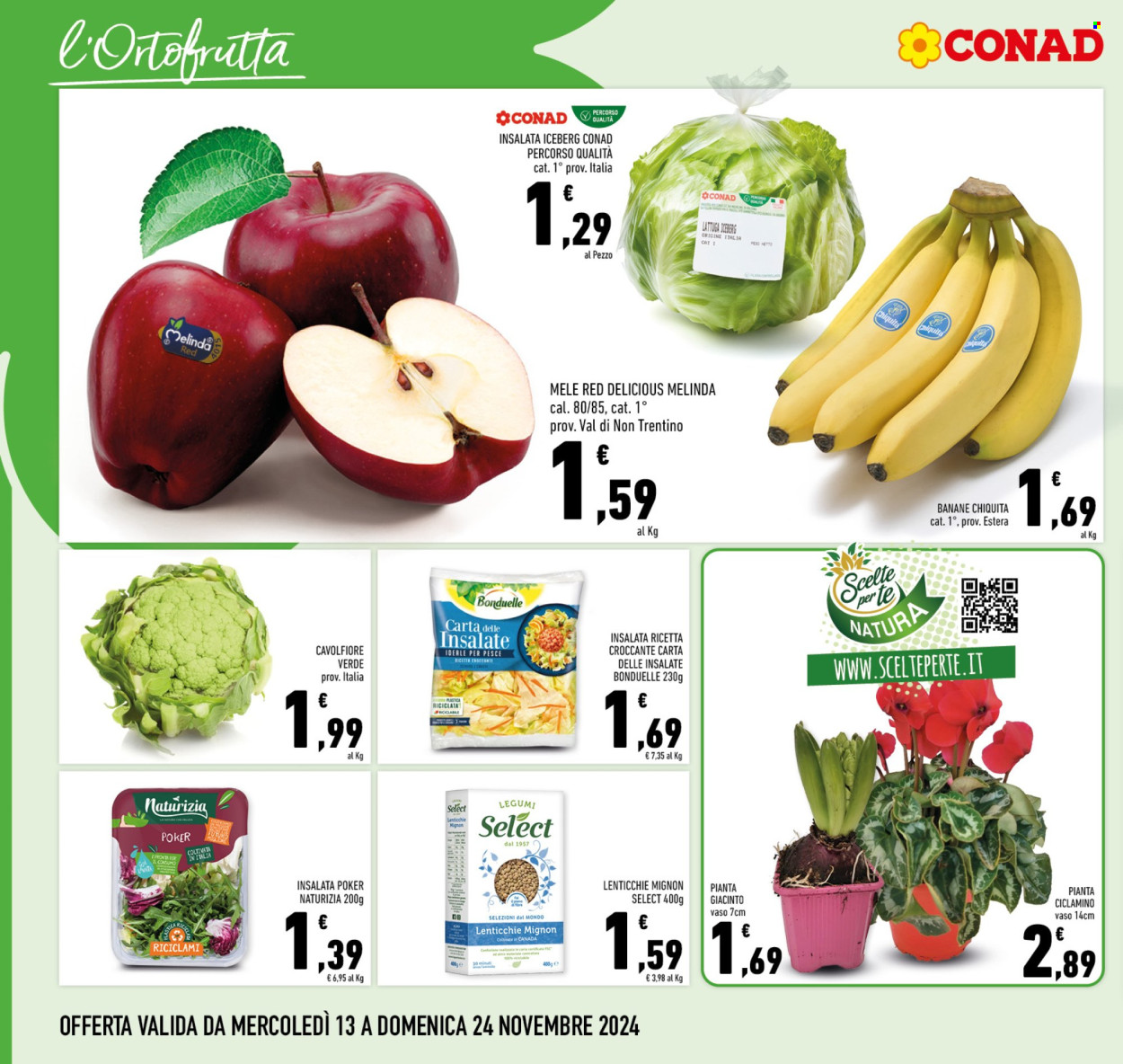 Volantino Conad - 13/11/2024 - 24/11/2024. Pagina 1