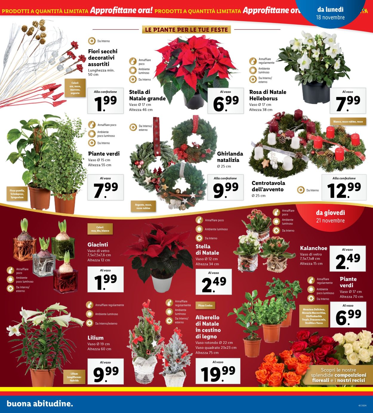 Volantino Lidl - 18/11/2024 - 24/11/2024. Pagina 1