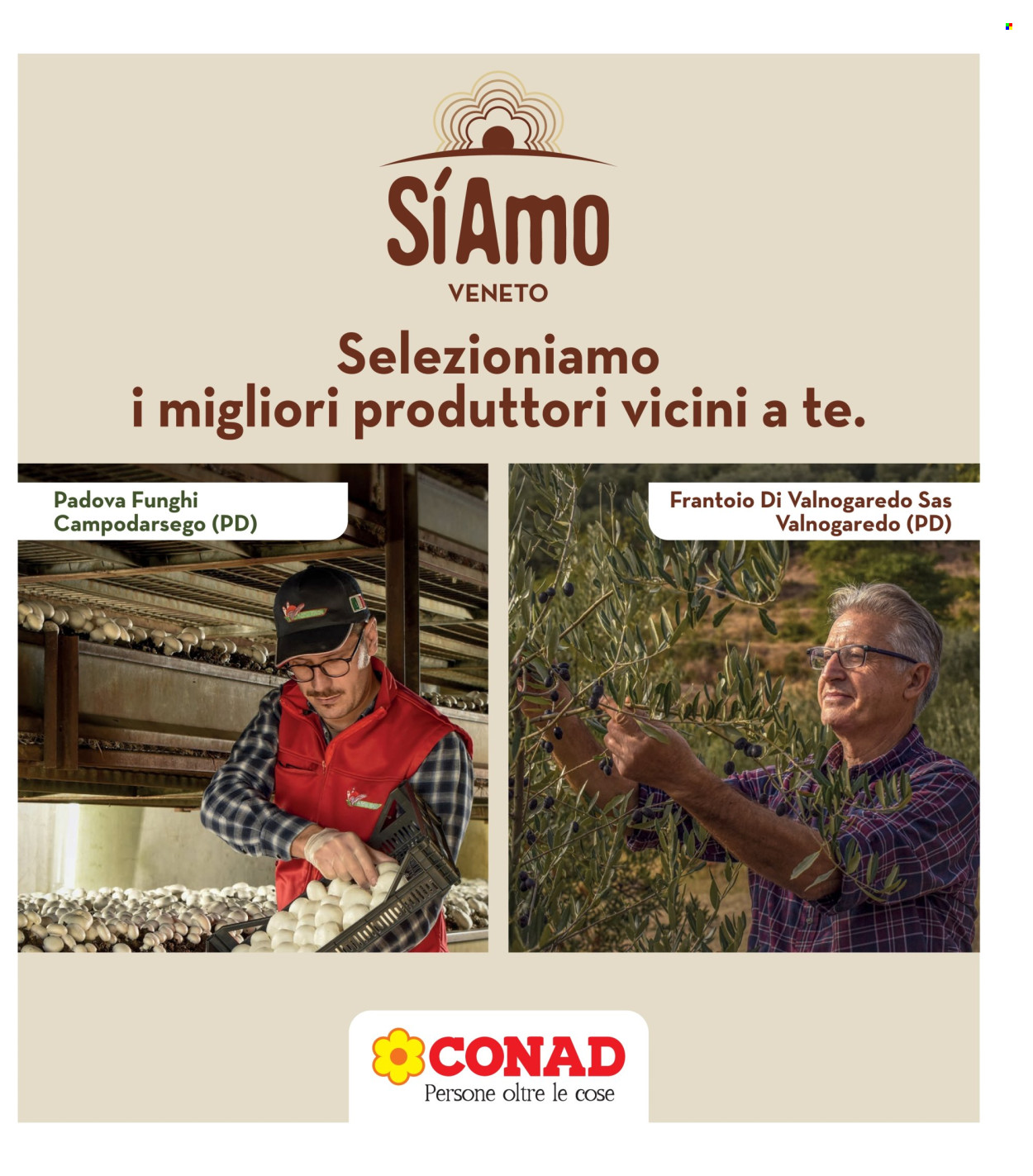 Volantino Spazio Conad - 12/12/2024 - 24/12/2024. Pagina 1