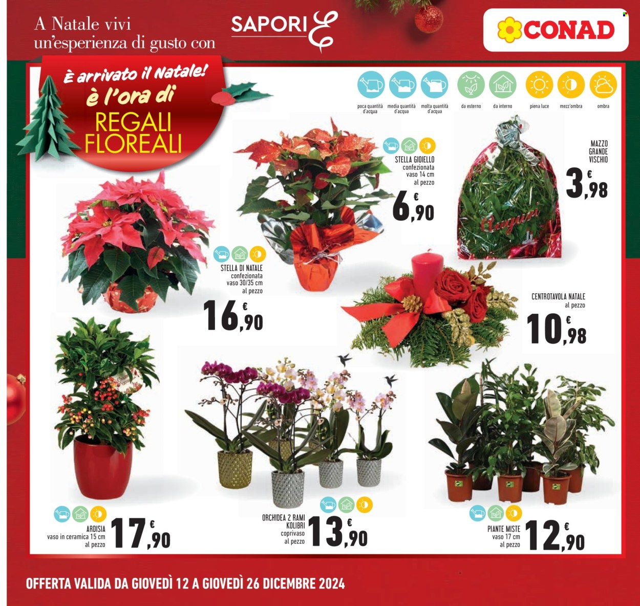 Volantino Conad - 12/12/2024 - 26/12/2024. Pagina 1