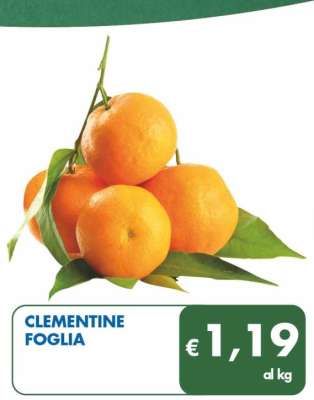 CLEMENTINE FOGLIA 1000 g