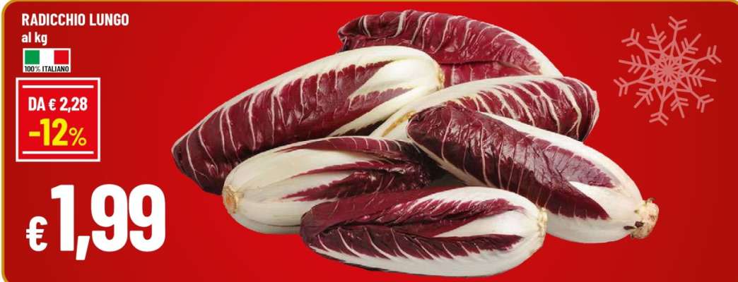 RADICCHIO LUNGO