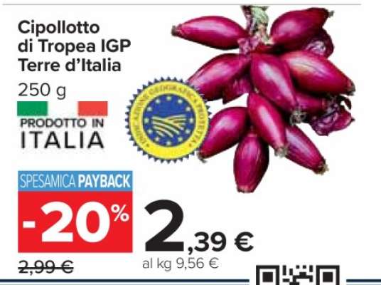 Cipollotto di Tropea IGP Terre d'Italia