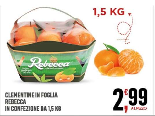 CLEMENTINE IN FOGLIA REBECCA