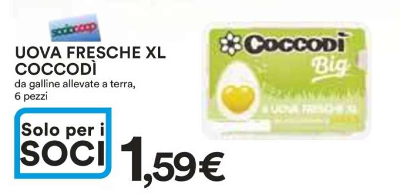 Uova Fresche XL Coccodì