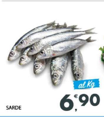 Sarde