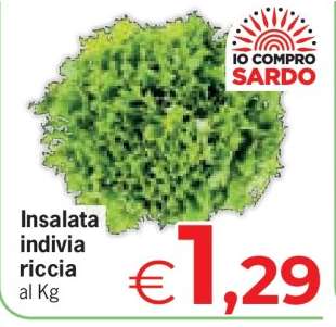 Insalata indivia riccia