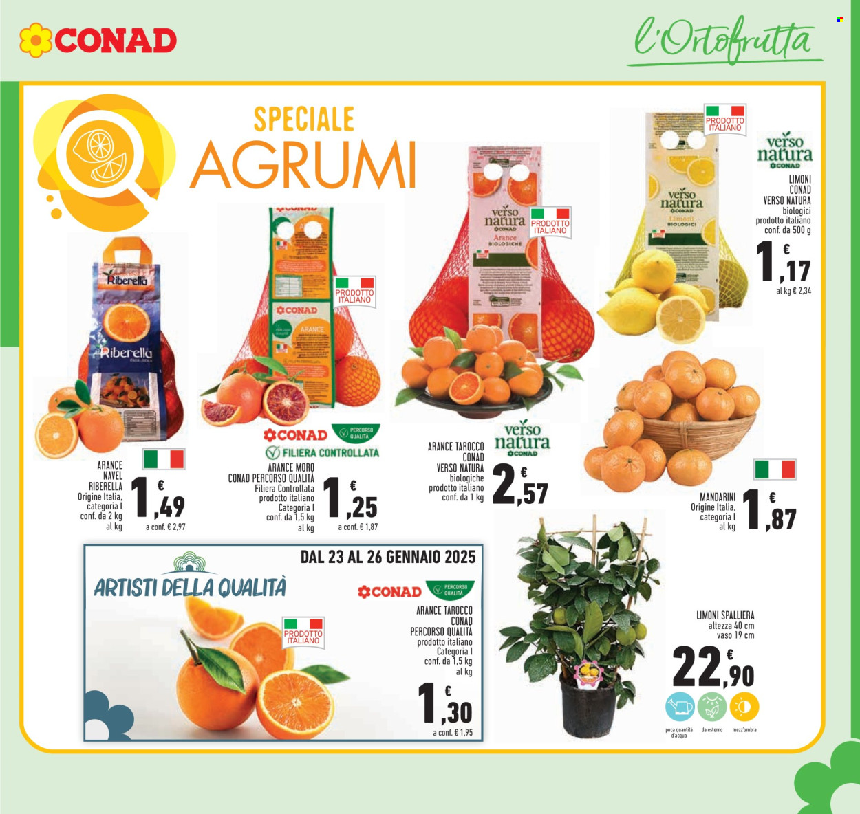 Volantino Conad - 16/1/2025 - 29/1/2025. Pagina 1