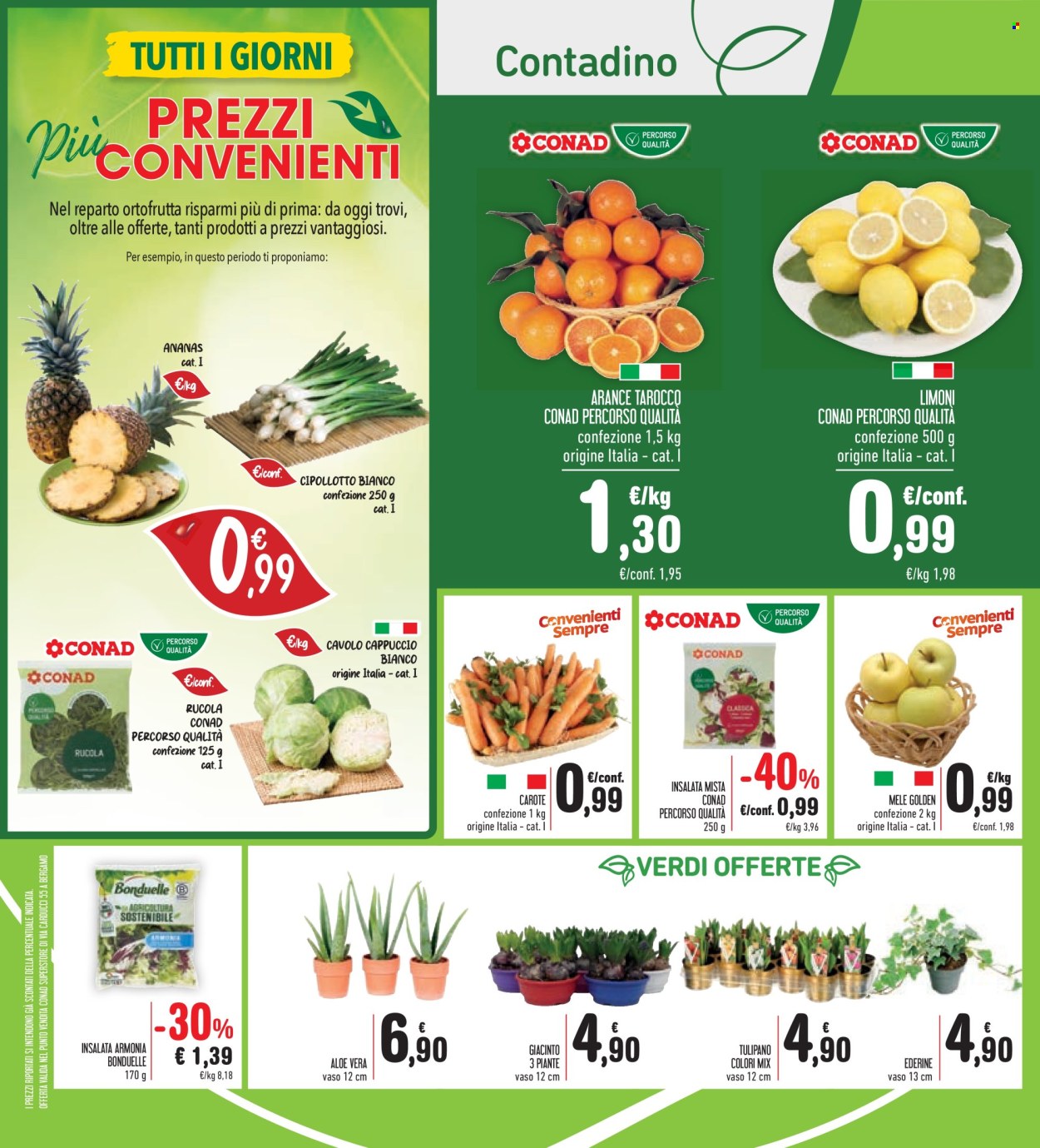 Volantino Conad Superstore - 17/1/2025 - 30/1/2025. Pagina 1