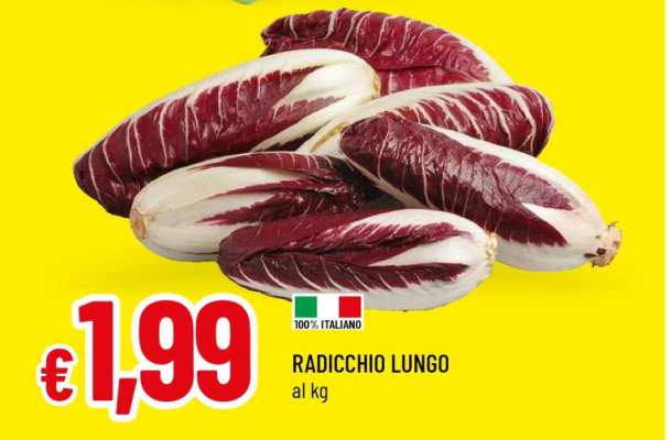 RADICCHIO LUNGO