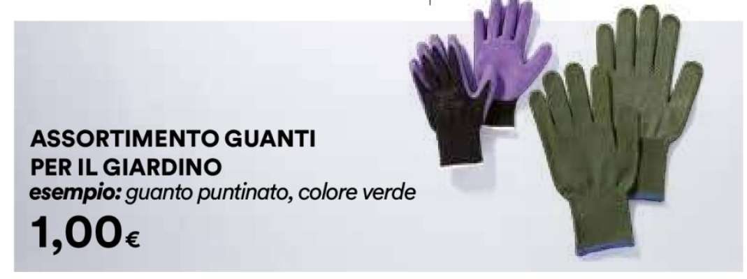 Assortimento guanti per il giardino