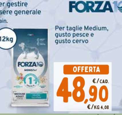 FORZA10 Medium Adult