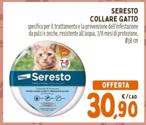 SERESTO COLLARE GATTO