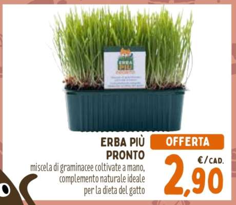 ERBA PIÙ PRONTO