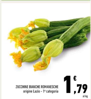 ZUCCHINE BIANCHE ROMANESCHE
