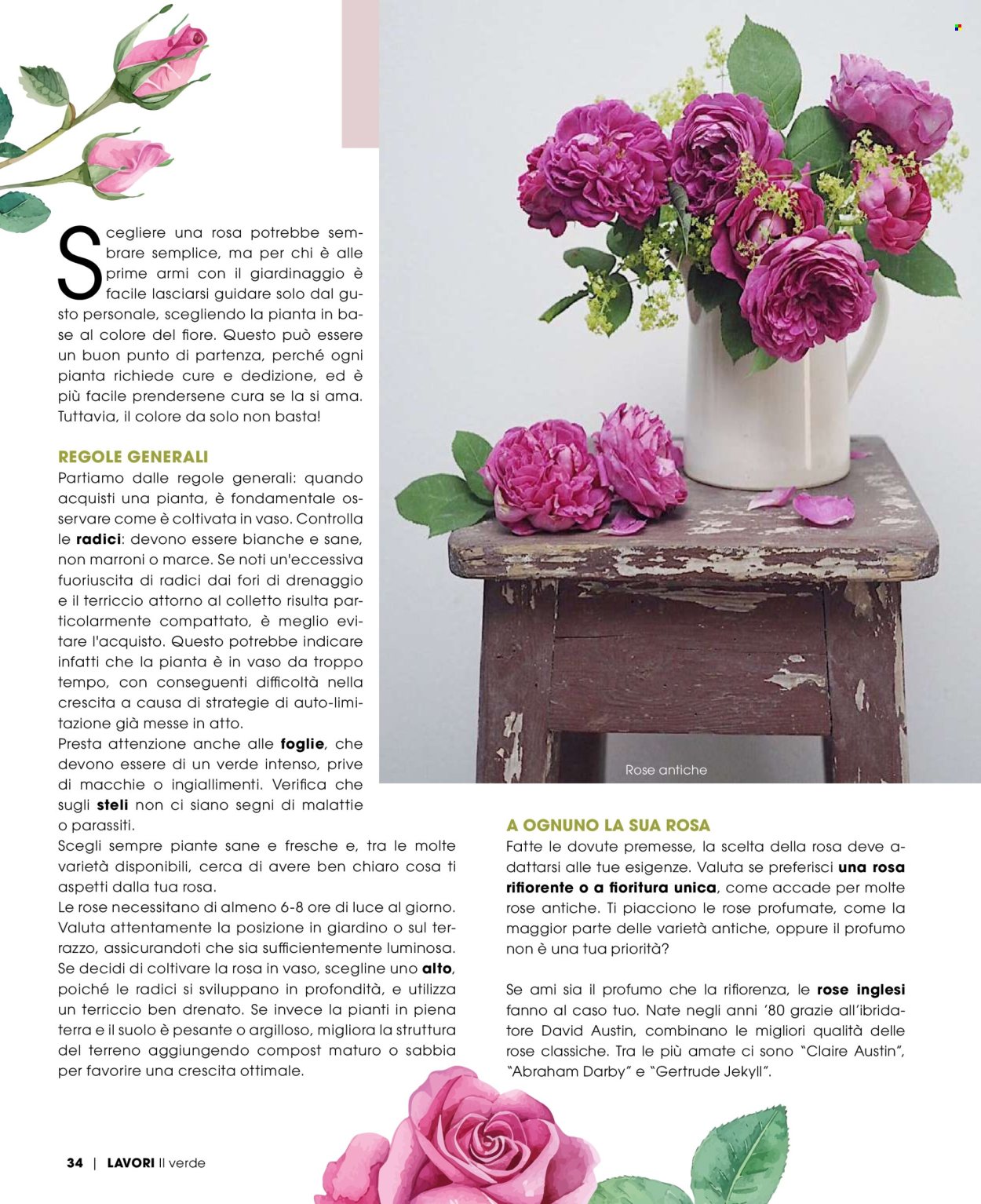 Volantino Pan - 1/5/2025 - 30/6/2025. Pagina 1