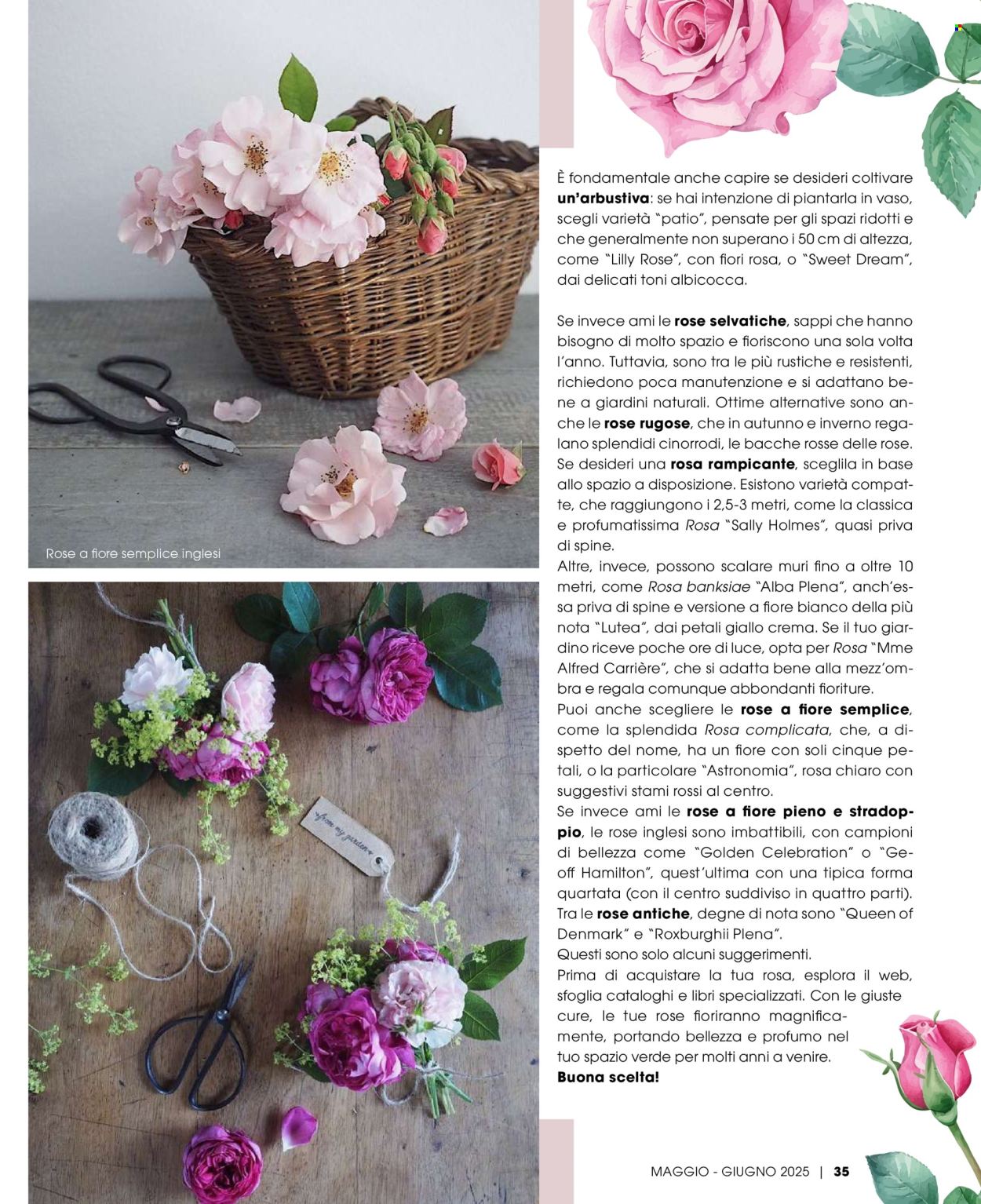 Volantino Pan - 1/5/2025 - 30/6/2025. Pagina 1