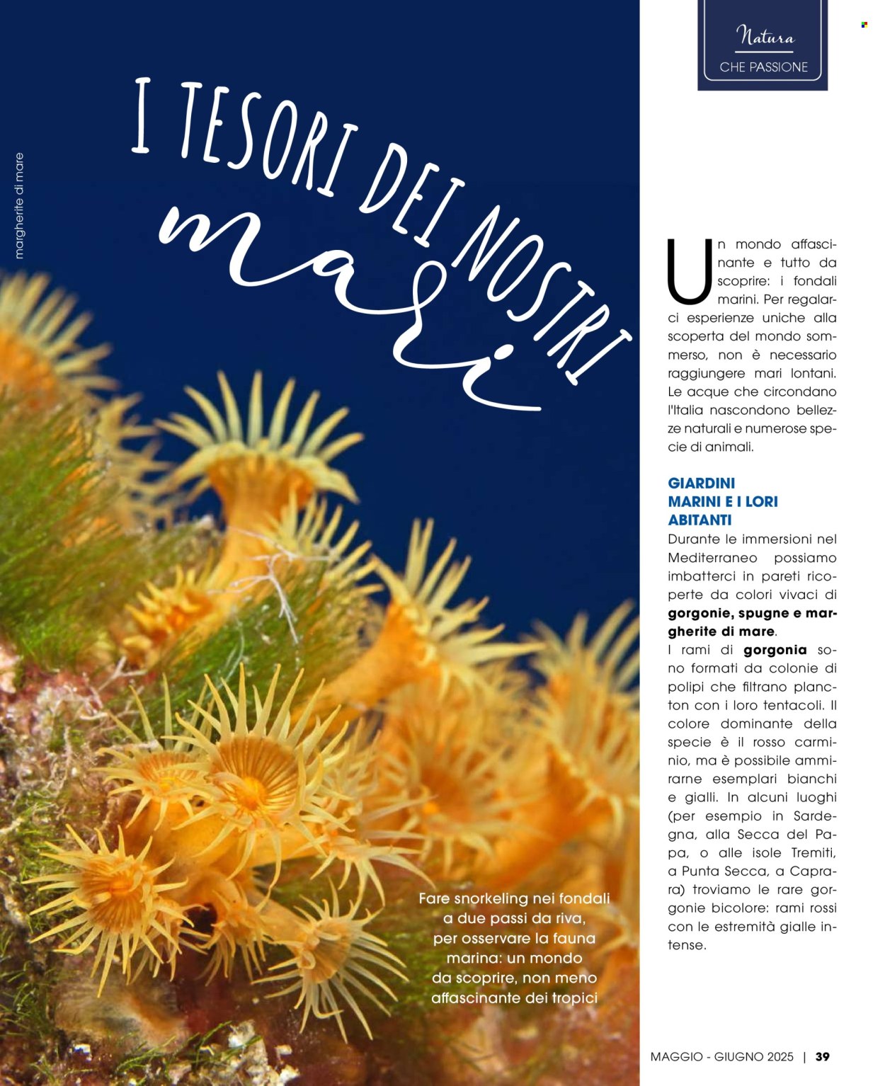 Volantino Pan - 1/5/2025 - 30/6/2025. Pagina 1