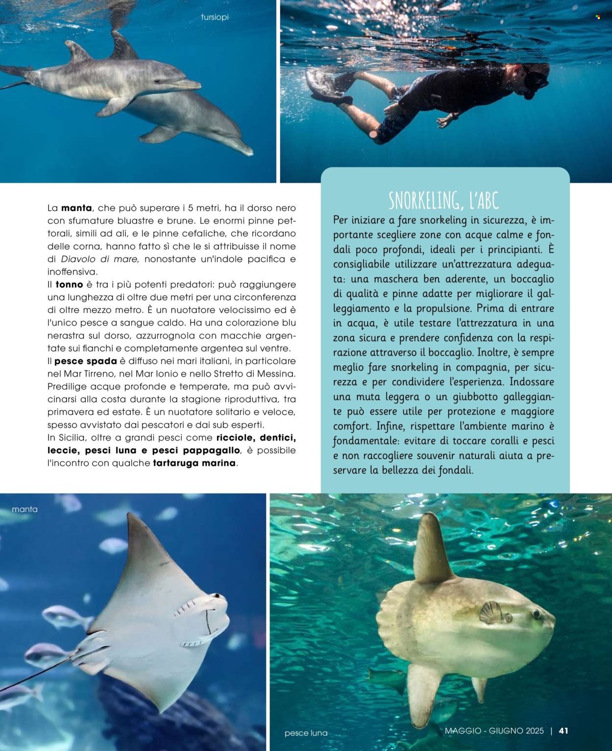 Volantino Pan - 1/5/2025 - 30/6/2025. Pagina 1