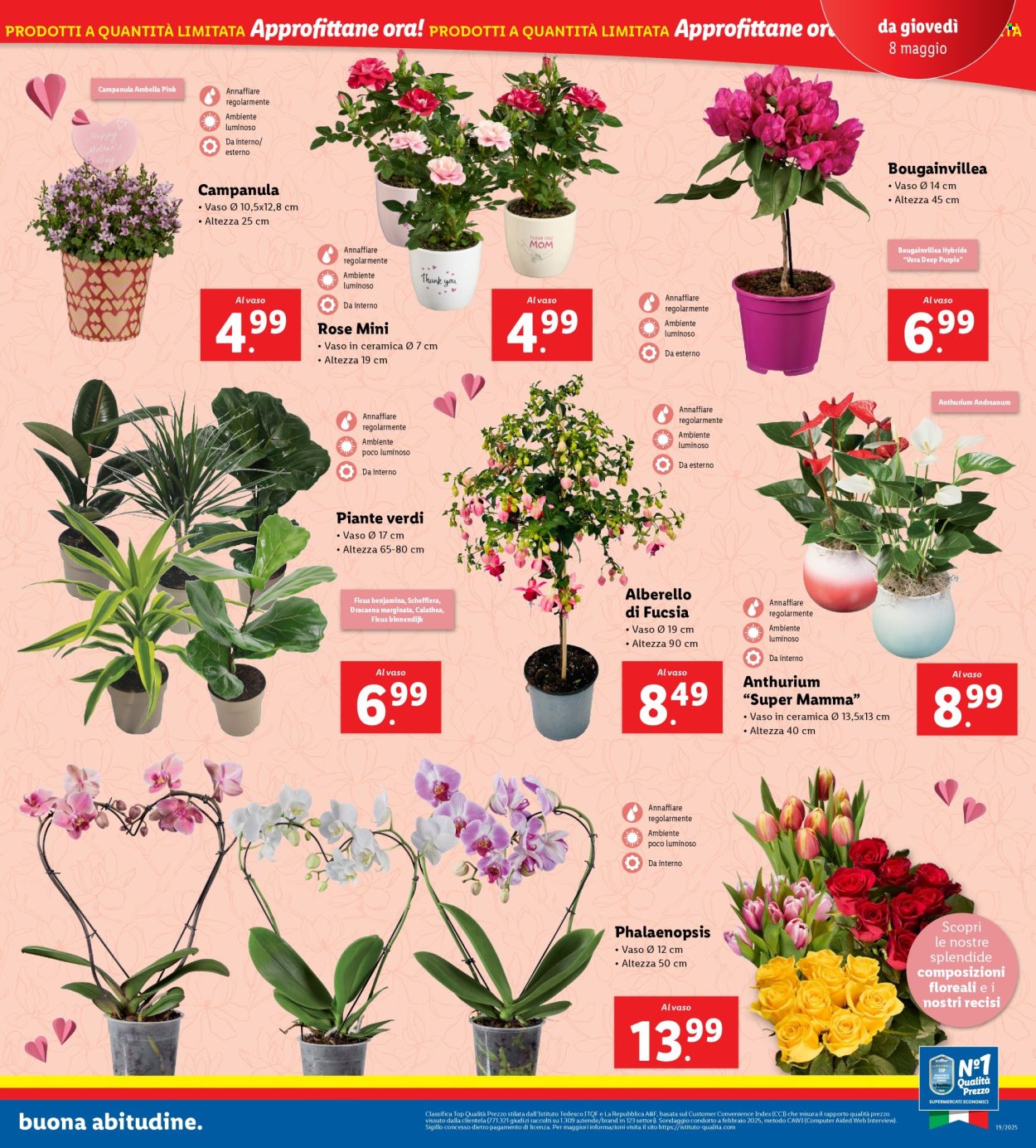 Volantino Lidl - 5/5/2025 - 11/5/2025. Pagina 1