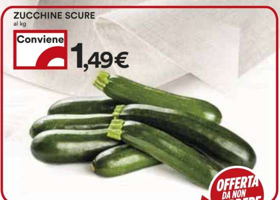 ZUCCHINE SCURE