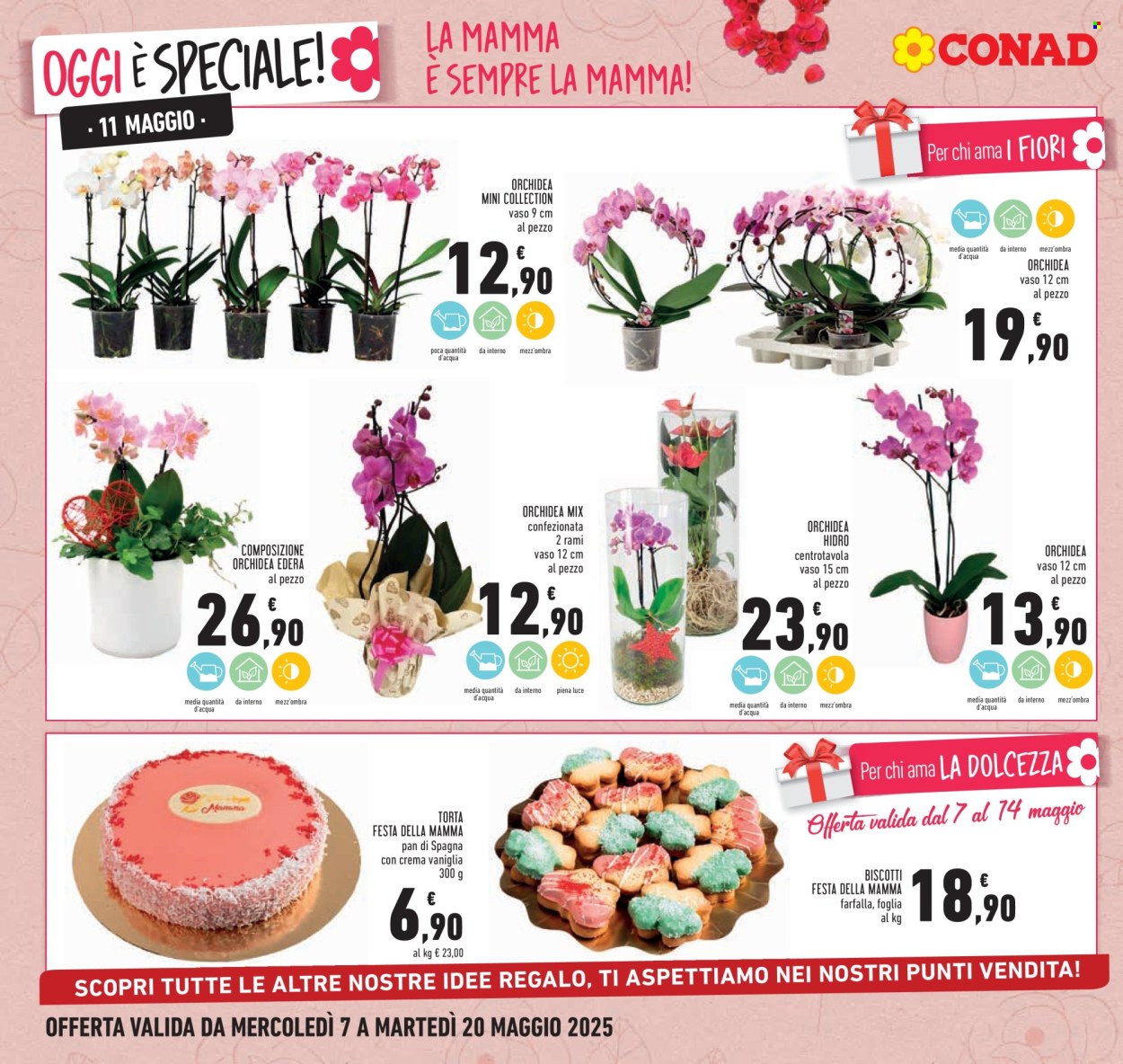 Leták Conad - 7.5.2025 - 20.5.2025. Strana 8