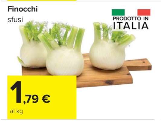 Finocchi
